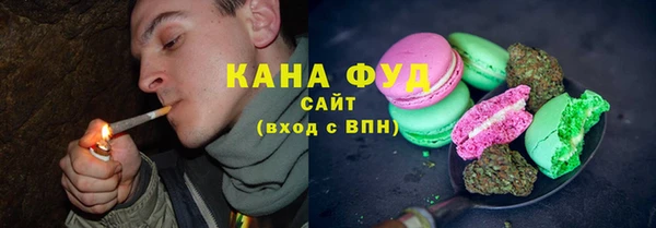 молекула духа Богородицк