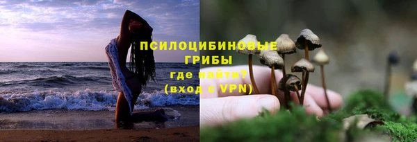 винт Белокуриха