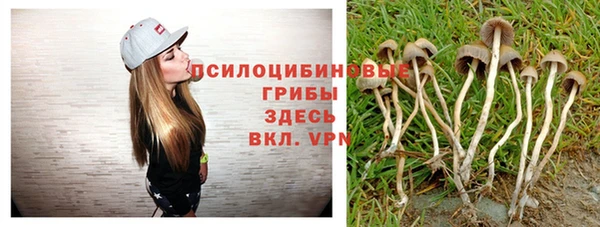 винт Белокуриха