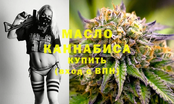 молекула духа Богородицк