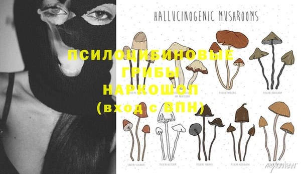 a pvp Белоозёрский