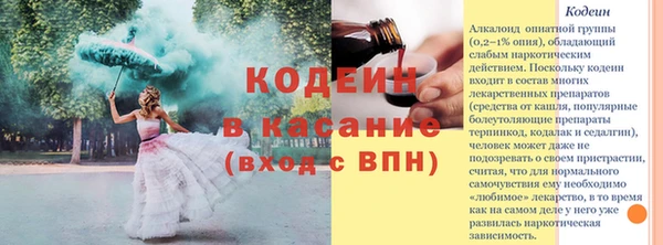 тгк Богданович
