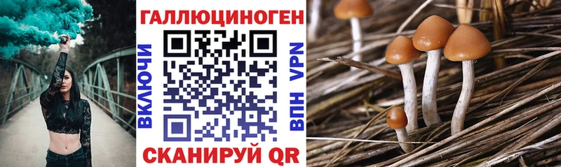 Галлюциногенные грибы мицелий  купить   Верхняя Тура 